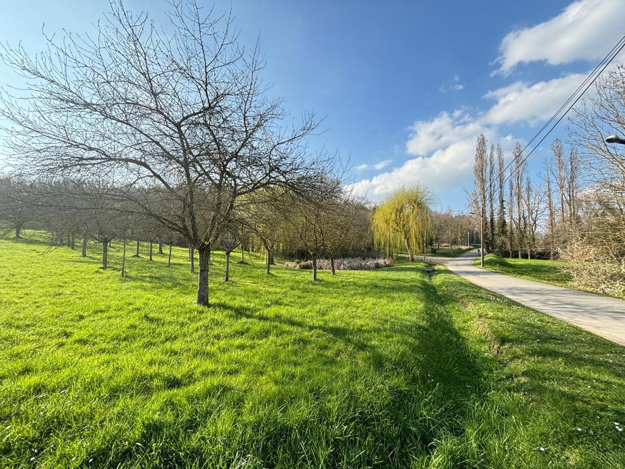Corti - Studio Hypercentre - Grand Balcon - Fibre #Sirdest Franconville (Val-d'Oise) Exterior foto